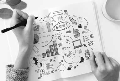 爱屋及乌的智慧，以兔为例的生肖文化与定量解释落实